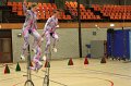 IMG_1474