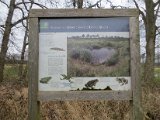 IMG_4053.JPG