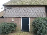 IMG_4062.JPG
