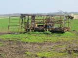 IMG_4069.JPG