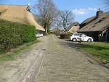 IMG_4078.JPG