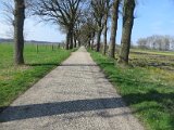 IMG_4079.JPG
