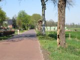 IMG_4110.JPG