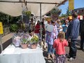 IMG_0795