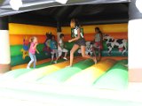 IMG_2234.JPG