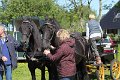 IMG_7622