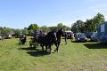 IMG_7625