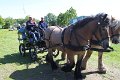 IMG_7628