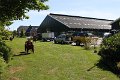 IMG_7631