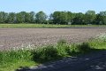 IMG_7637