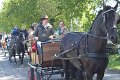 IMG_7645