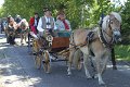 IMG_7648