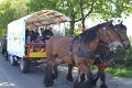 IMG_7651