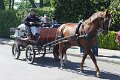 IMG_7680