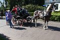 IMG_7682