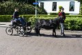 IMG_7686