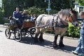 IMG_7704
