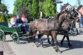IMG_7708