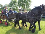 IMG_1308.JPG
