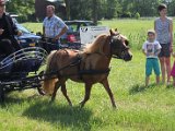 IMG_1311a.jpg