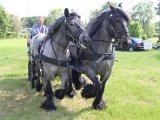 IMG_1312.JPG
