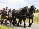 IMG_1319.JPG