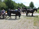 IMG_1345.JPG