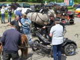 IMG_1348.JPG