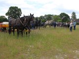 IMG_1353.JPG