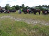 IMG_1355.JPG