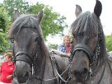 IMG_1368a.jpg