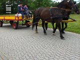 MVI_1351.mp4
