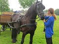 IMG_1884