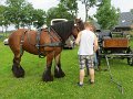 IMG_1886