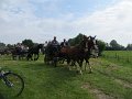 IMG_1891