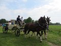 IMG_1893