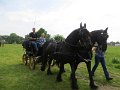 IMG_1894