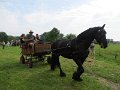 IMG_1895