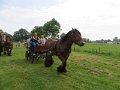 IMG_1896