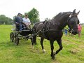 IMG_1899