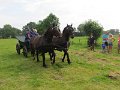 IMG_1900