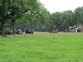 IMG_1903