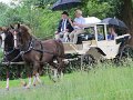 IMG_1905