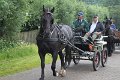 IMG_8729
