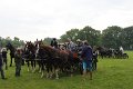 IMG_8745