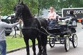 IMG_8750