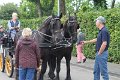 IMG_8756