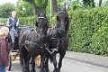 IMG_8757