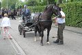 IMG_8760