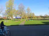 IMG_2441.JPG